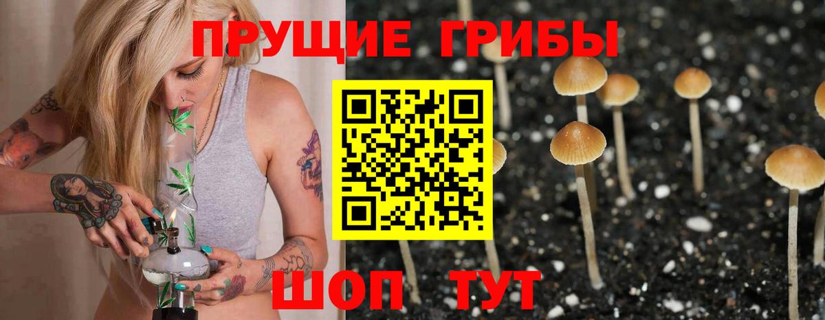 Псилоцибиновые грибы Magic Shrooms Брянск